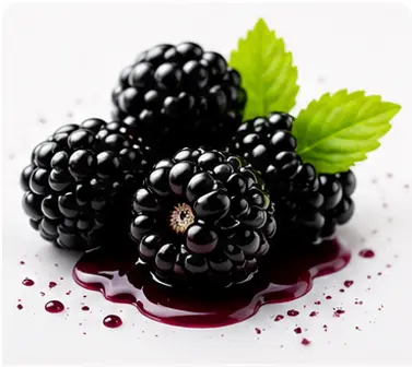 Organic Blackberry