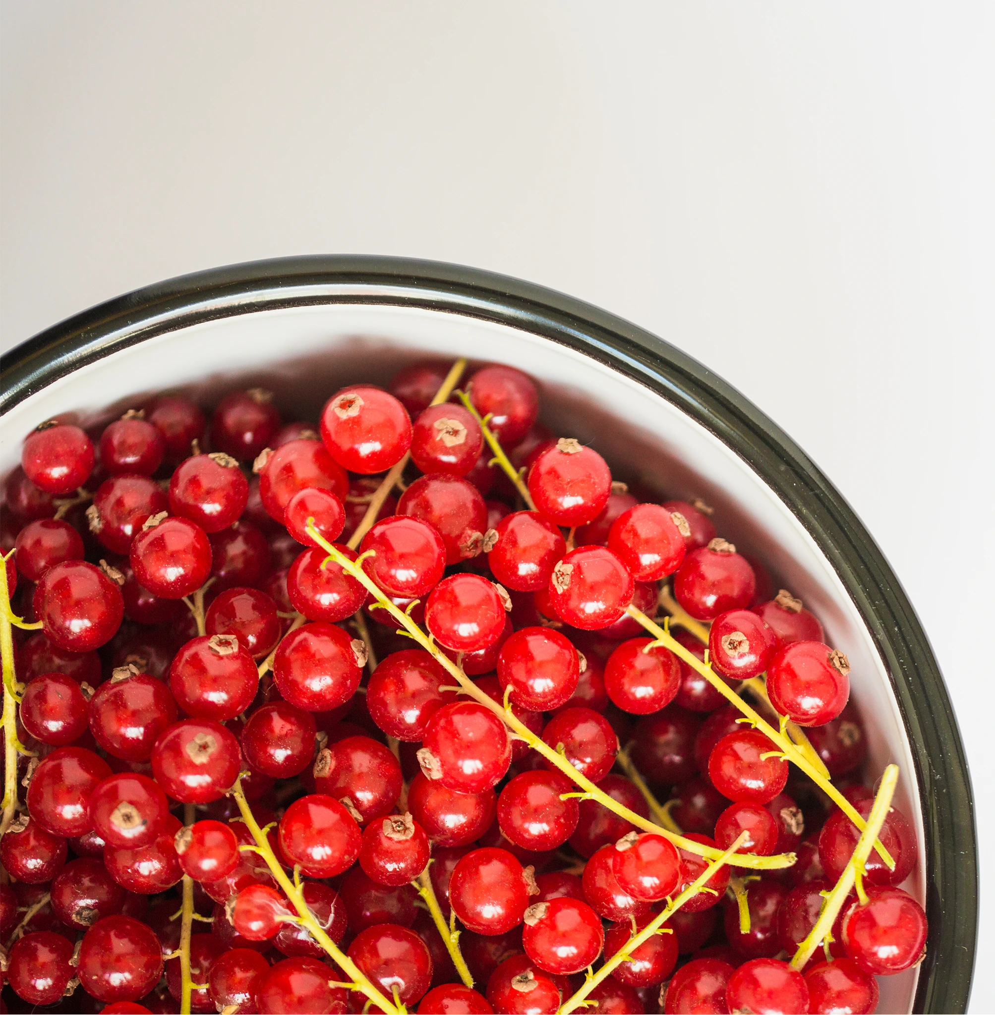 แครนเบอร์รี